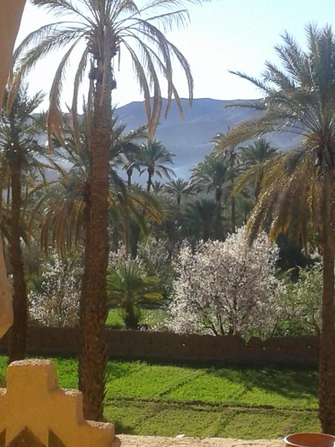 Kasbah Maktob Tamnougalt Otel Agdz Dış mekan fotoğraf